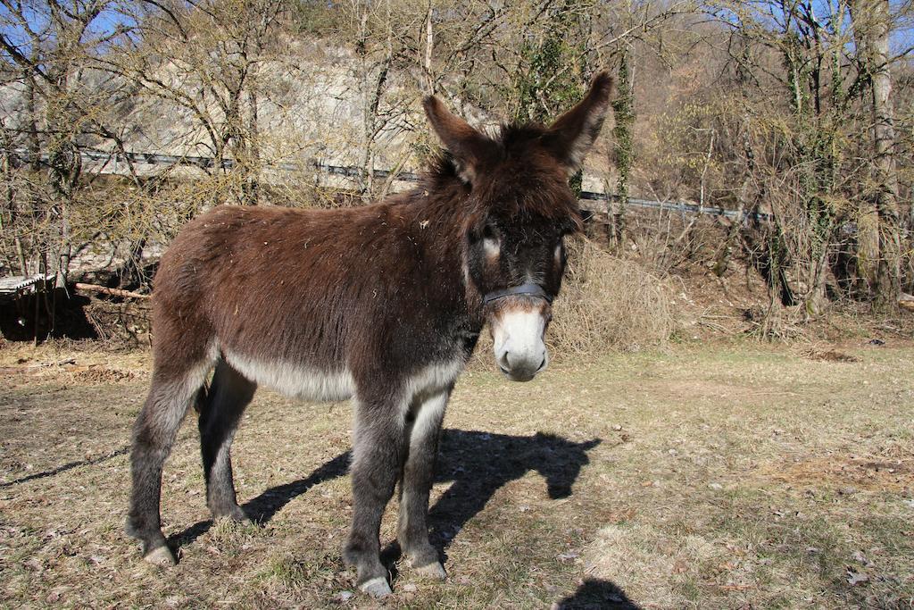 Pensjonat La Mola Maringalli Cascia Zewnętrze zdjęcie